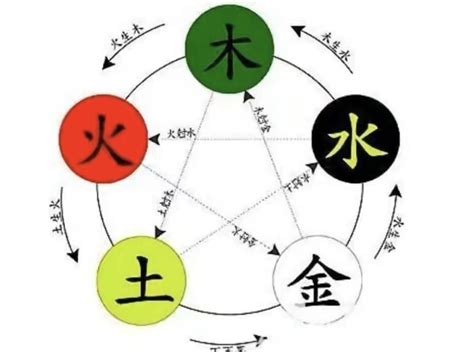 祤五行|樾字的五行属性